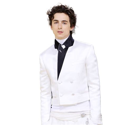 timothee chalamet transparent background